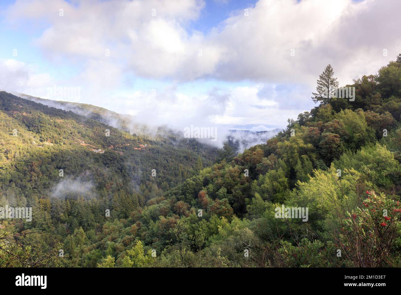 Vue sur Uvas Canyon après la tempête se dégage. Morgan Hill, comté de Santa Clara, Californie, États-Unis. Banque D'Images