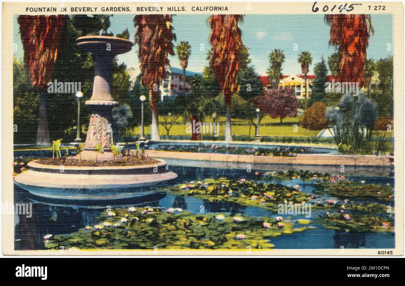 Fontaine à Beverly Gardens, Beverly Hills, Californie , Parcs, Tichnor Brothers Collection, Cartes postales des États-Unis Banque D'Images