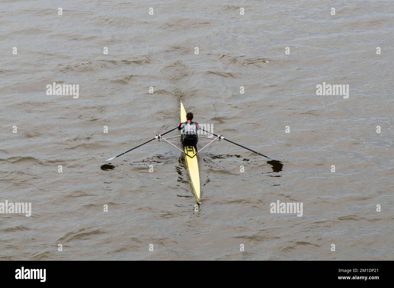 Un garçon rame un bateau d'aviron sportif sur l'Elbe Banque D'Images