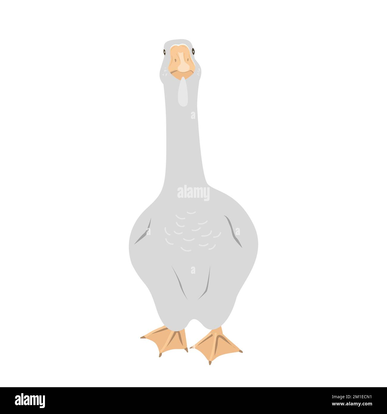 Jolie grande oie sur fond blanc. Conception à vecteur plat isolée sur blanc Illustration de Vecteur