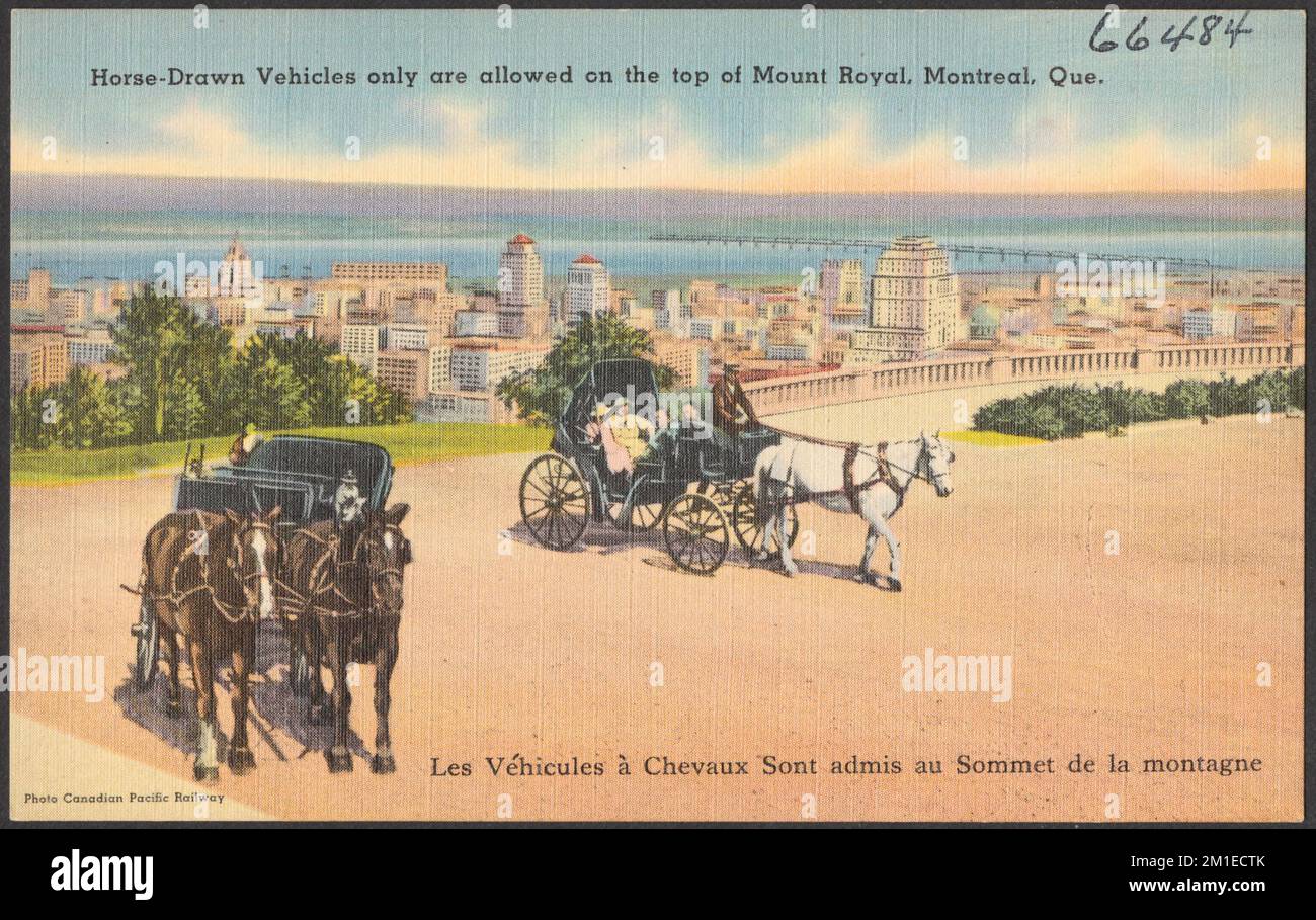 Seuls les véhicules tirés par des chevaux sont autorisés sur le Mont-Royal, Montréal, Qc. - Les véhicules à chevaux sont admis au sommet de la montagne , chevaux, voitures et autocars, Villes et villages, Collection des frères Tichnor, Cartes postales des États-Unis Banque D'Images