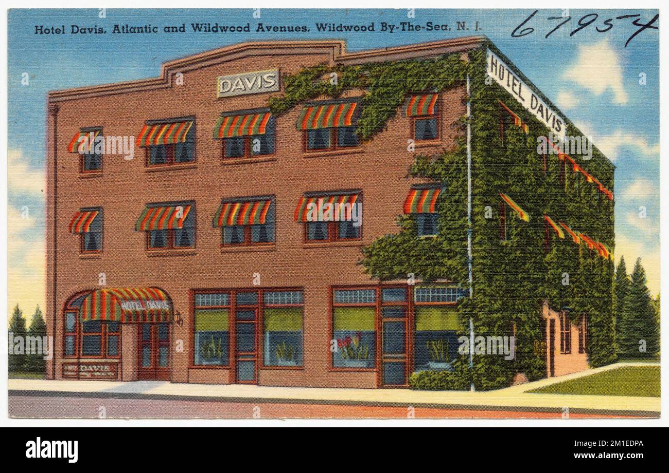 Hotel Davis, Atlantic and Wildwood avenues, Wildwood By-the-Sea, N. J. , Hôtels, Tichnor Brothers Collection, Cartes postales des États-Unis Banque D'Images