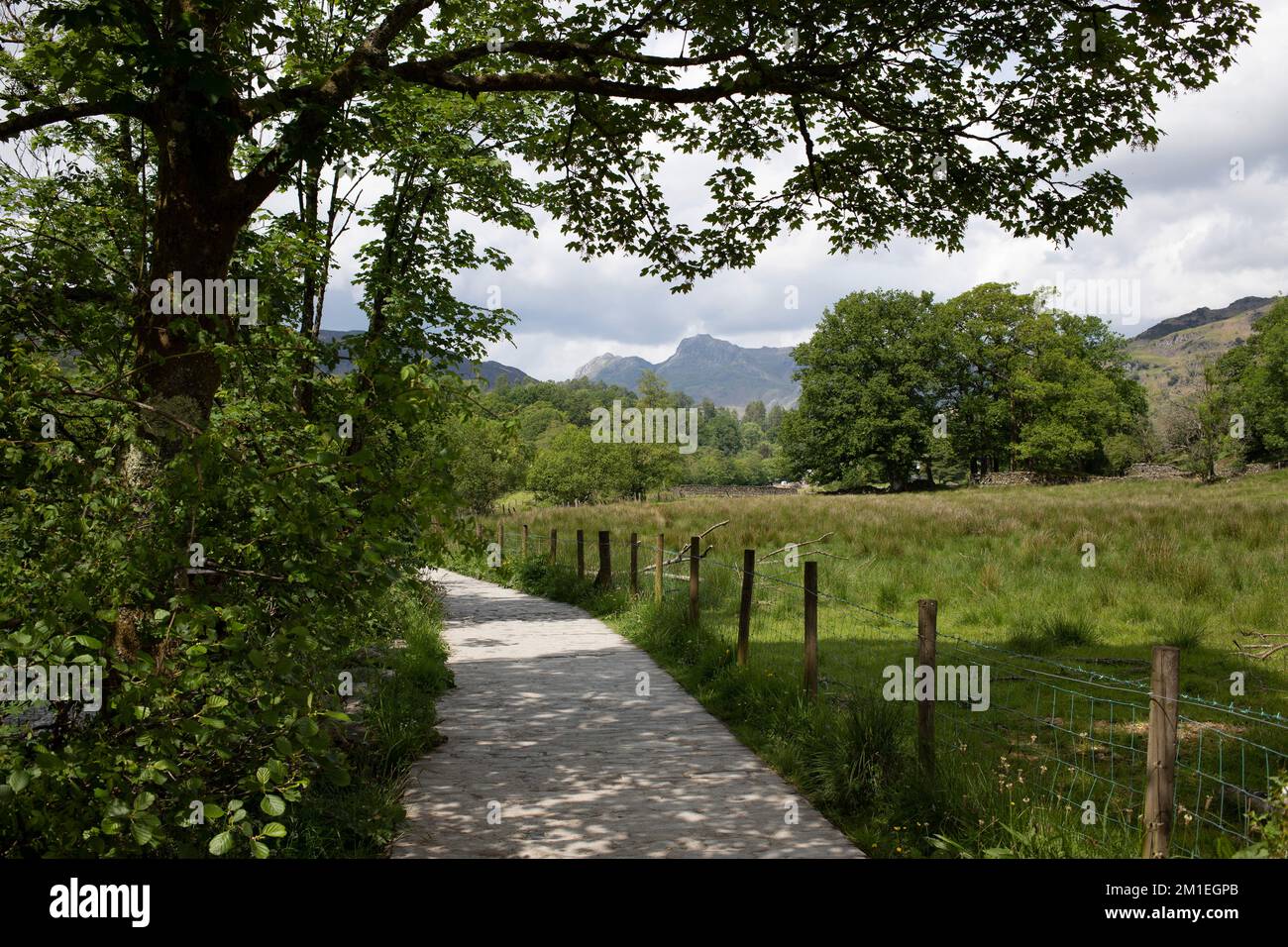 Les Langdale Pikes, vus depuis le chemin au bord de Elter Water. Partie du parc national du Lake District, Cumbria, Royaume-Uni Banque D'Images