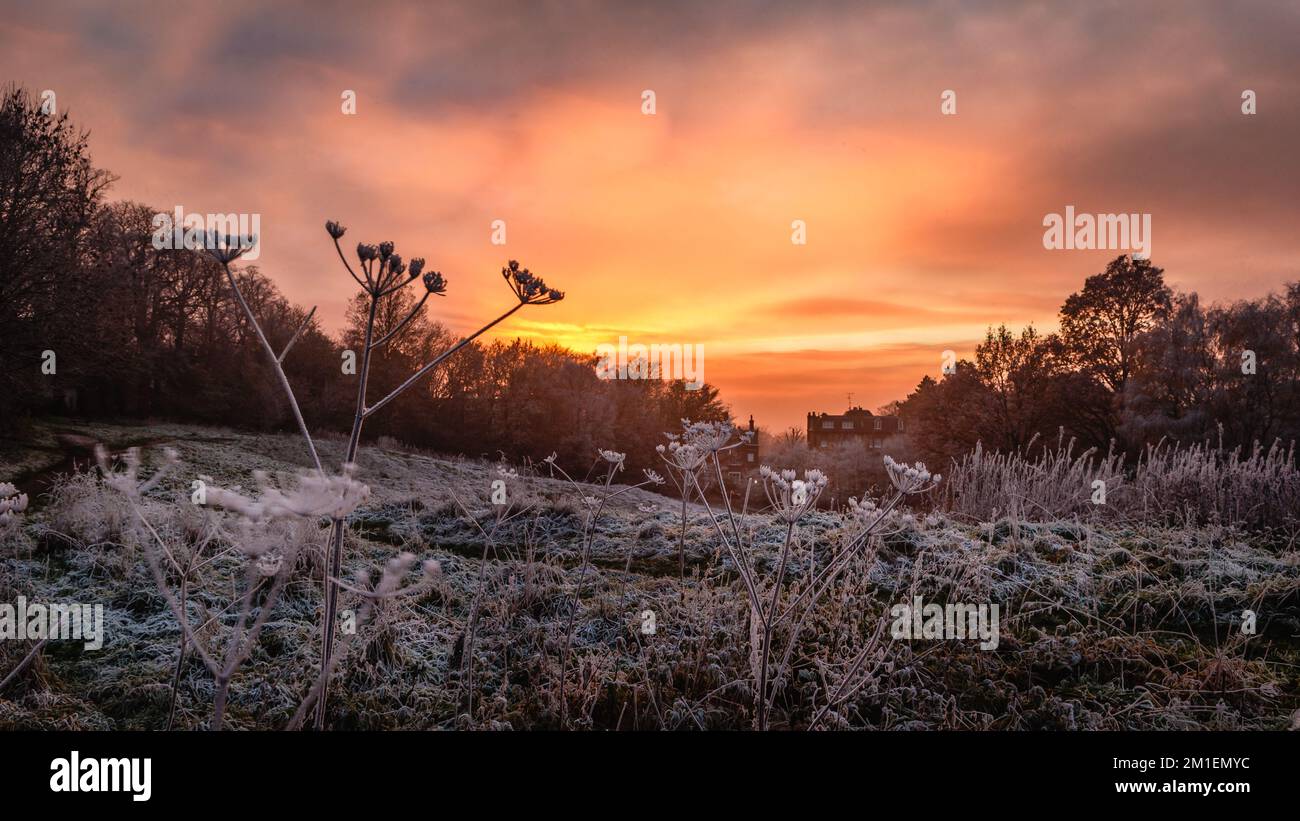 Un coucher de soleil à Londres avant la neige est venu quelques heures plus tard. Banque D'Images