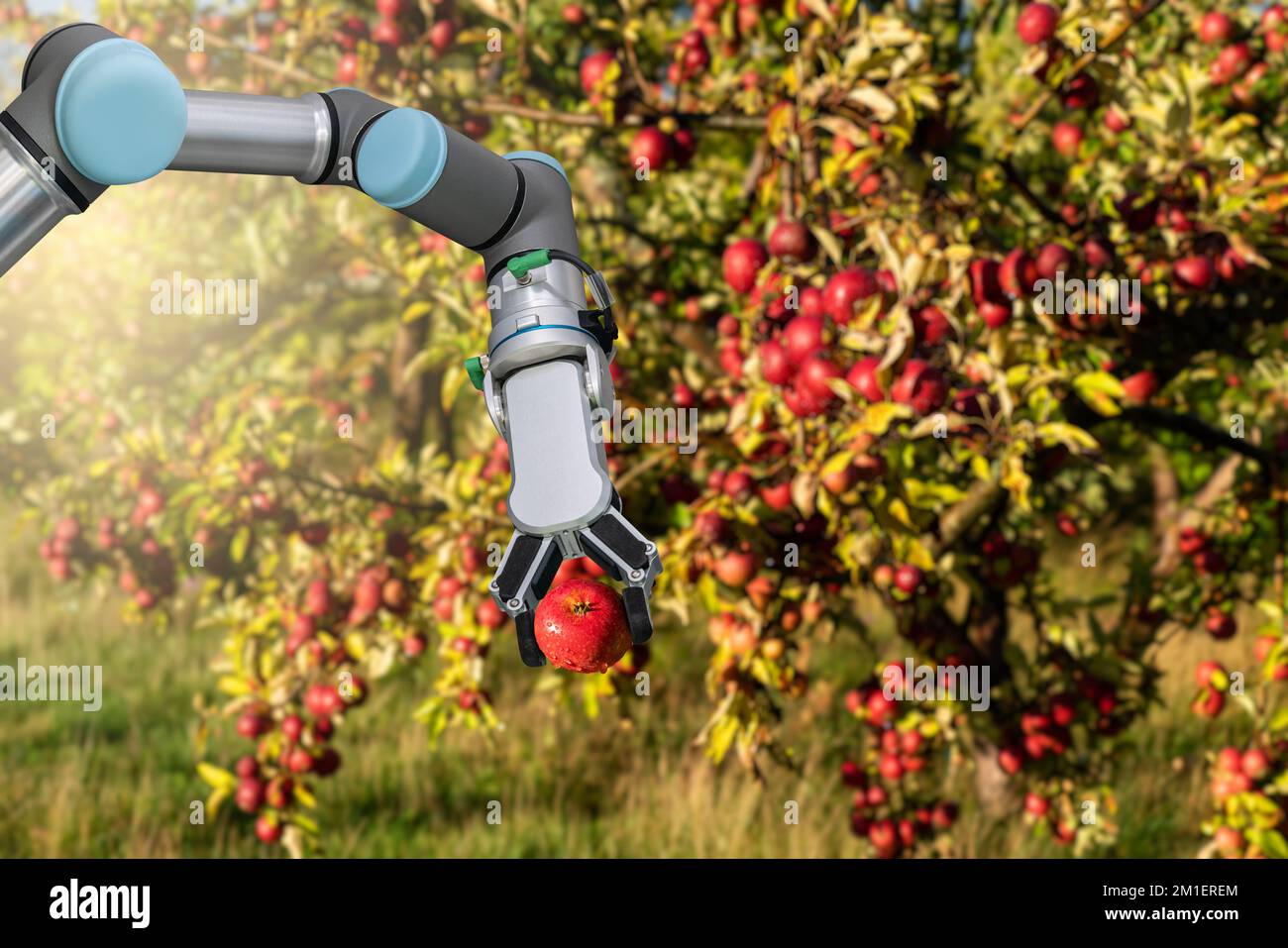 Le bras du robot travaille dans la ferme intelligente. Transformation numérique de l'agriculture. Banque D'Images