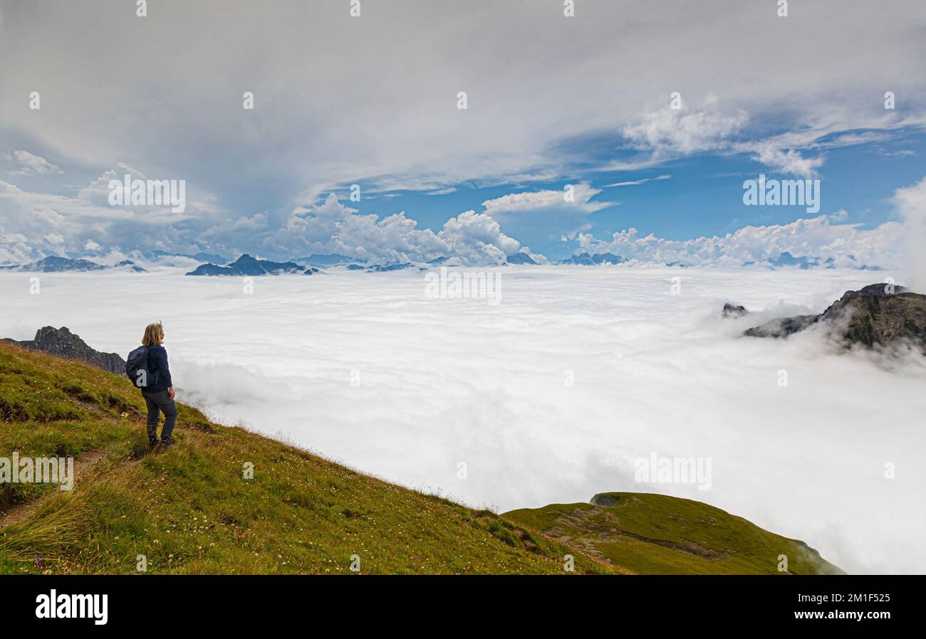 Un randonneur regarde les sommets des Alpes sur le Gehrengrat au-dessus des nuages, Lech, Autriche, Europe Banque D'Images