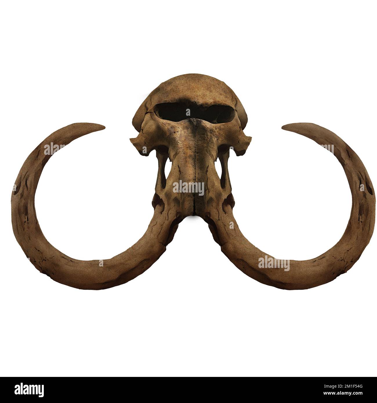 Mammoth Extinct Elephantid Skull Art numérique par Winters860 isolé, arrière-plan Banque D'Images Mammoth Extinct Elephantid Skull Art numérique par Winters860 isolé, arrière-plan Banque D'Images
