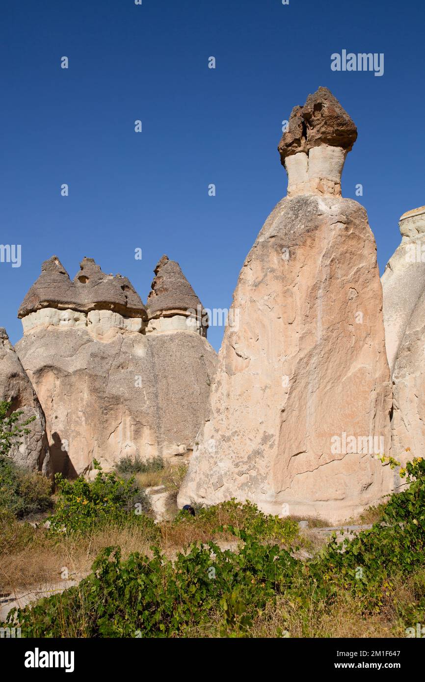Cheminées de fées, vallée de Pasabag (vallée de Monks), province de Nevsehir, région de