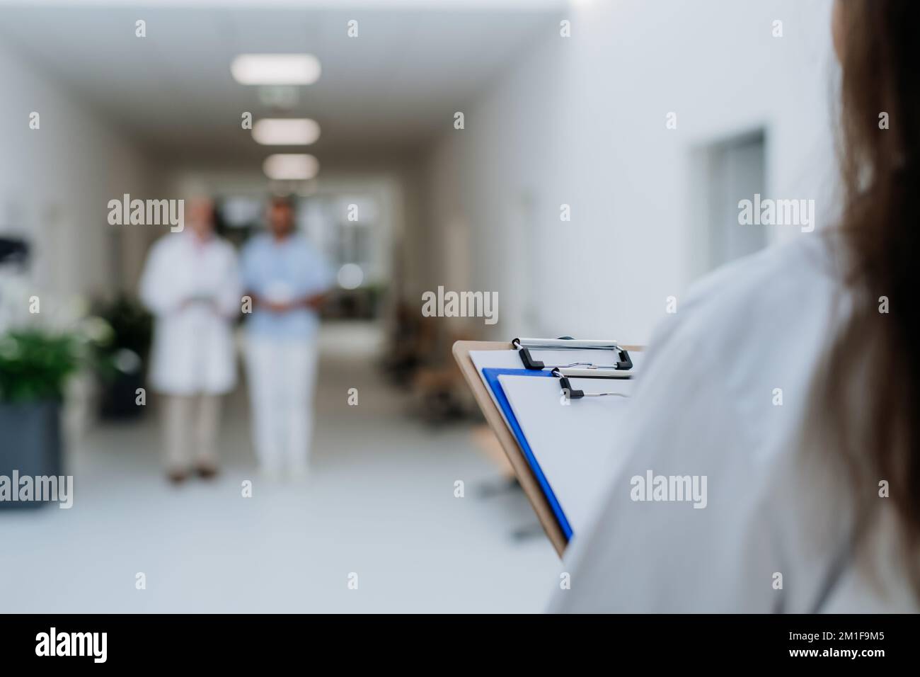 Vue arrière du jeune médecin avec dossier médical en attente de collègues plus âgés. Banque D'Images Vue arrière du jeune médecin avec dossier médical en attente de collègues plus âgés. Banque D'Images
