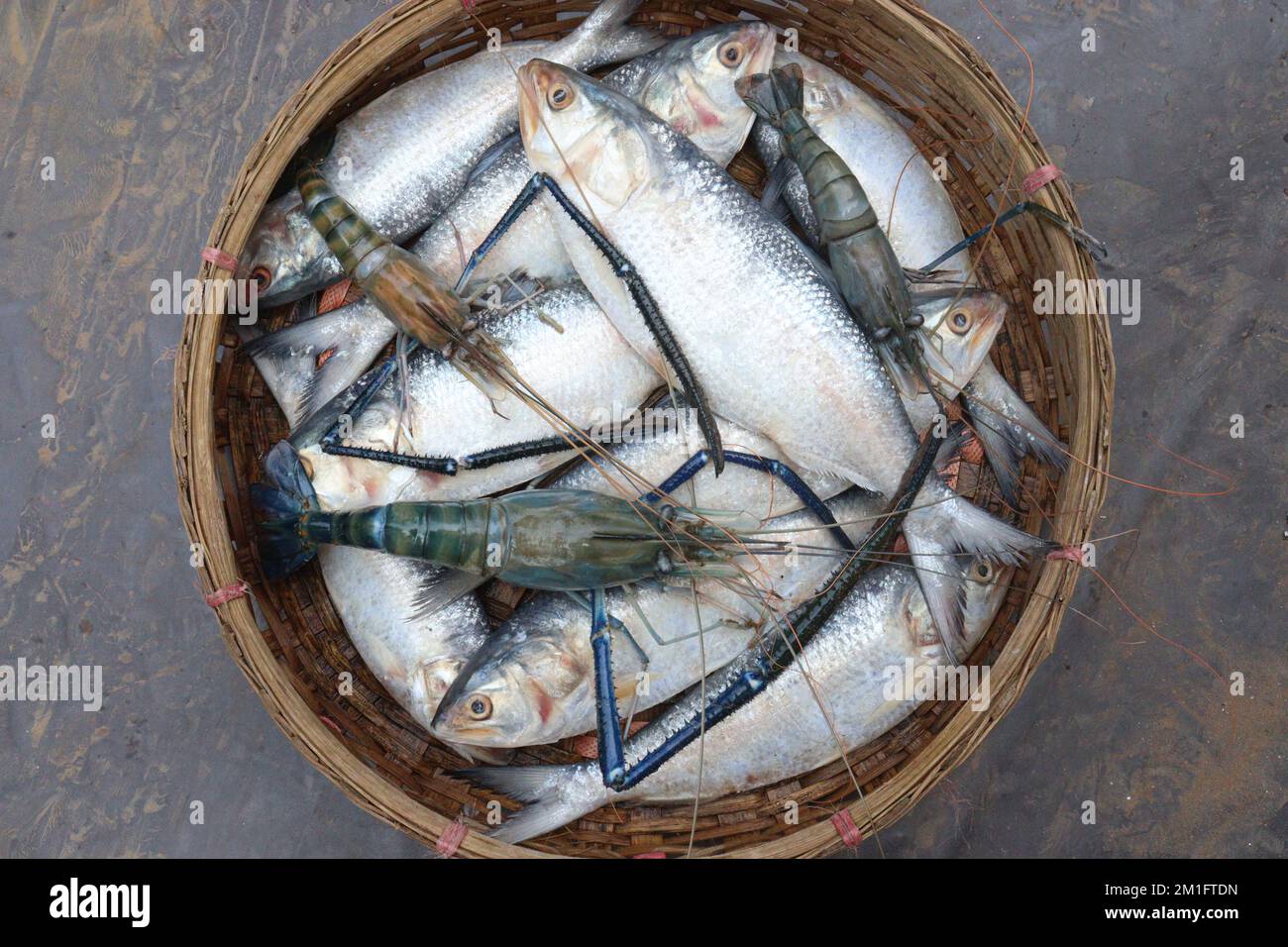 Savoureux et sain crevettes tigrées géantes et poisson ilish en magasin à vendre Banque D'Images