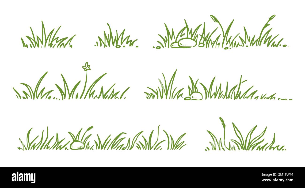 Ensemble de styles d'esquisse pour herbe. Tracé à la main, vert, contour du champ d'herbe, arrière-plan griffé. Sprout, fleur, éléments de trèfle. Illustration vectorielle. Illustration de Vecteur