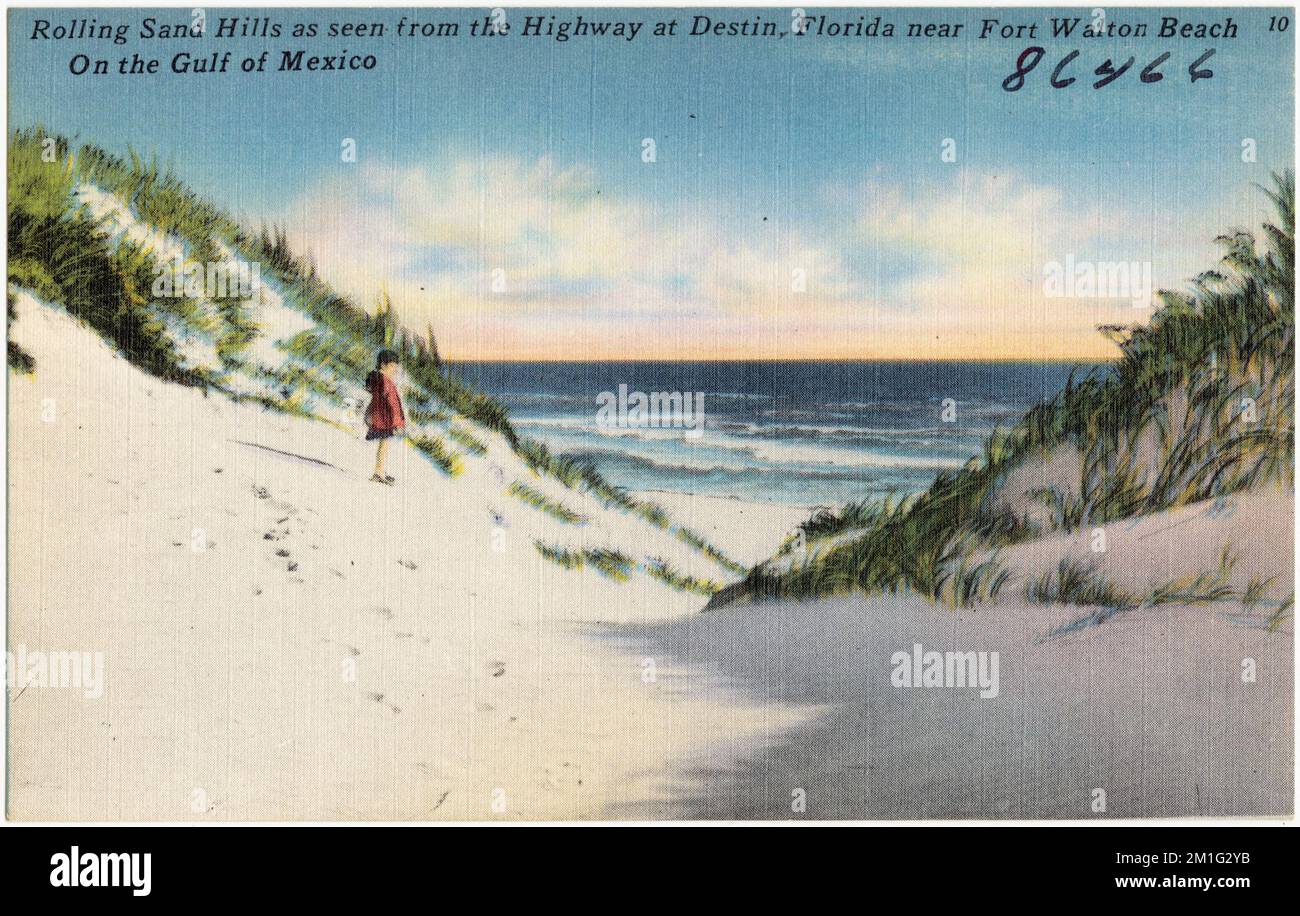 Collines de sable vallonnées comme vu de l'autoroute à destin, Floride près de fort Walton Beach, sur le golfe du Mexique, côtes, Tichnor Brothers Collection, cartes postales des États-Unis Banque D'Images
