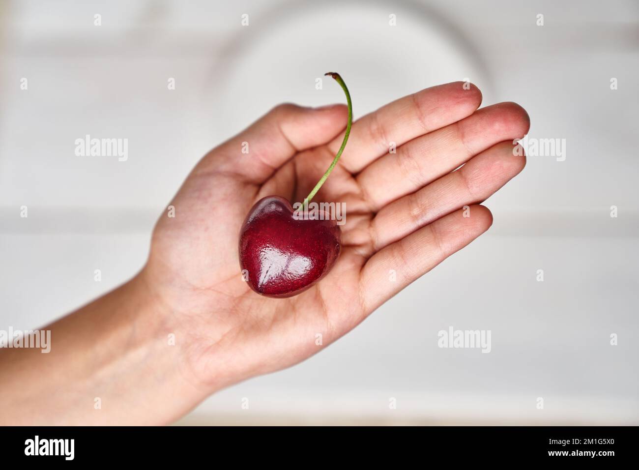 Une cerise fraîche et mûre en forme de coeur dans les mains d'une fille, sur le fond d'une assiette blanche. Le concept de nutrition et de vitamines saines, avec de l'espace à copier. Photo de haute qualité Banque D'Images Une cerise fraîche et mûre en forme de coeur dans les mains d'une fille, sur le fond d'une assiette blanche. Le concept de nutrition et de vitamines saines, avec de l'espace à copier. Photo de haute qualité Banque D'Images