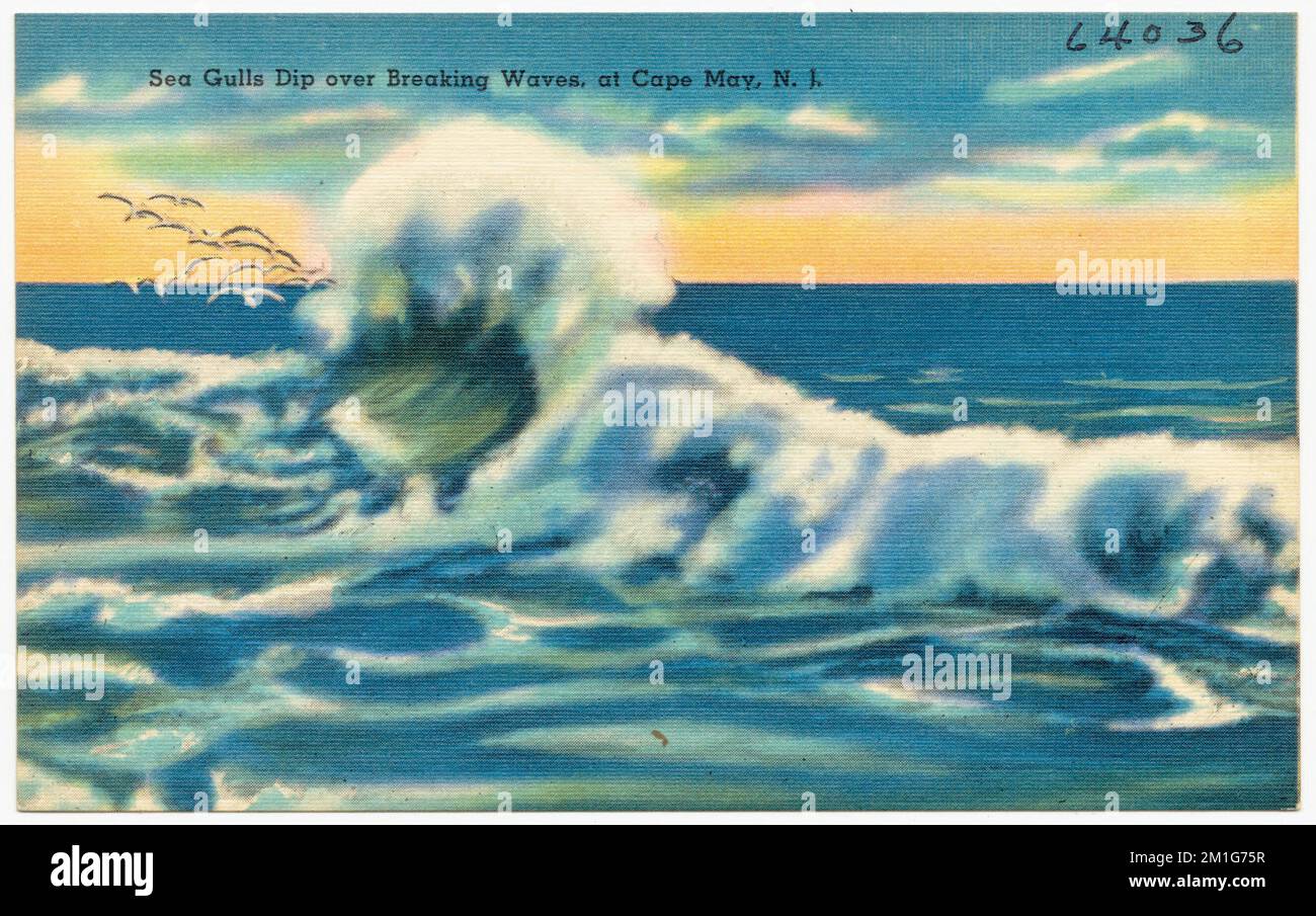 Les goélands de mer se baignent au-dessus des vagues de rupture, à Cape May, N. J. , Beaches, Tichnor Brothers Collection, Cartes postales des États-Unis Banque D'Images
