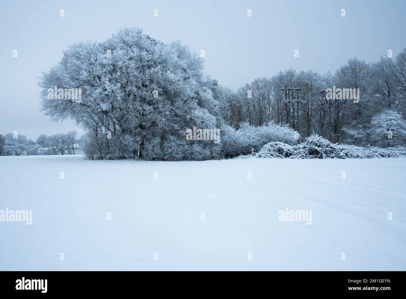 Les conditions météorologiques hivernales dans le Hertfordshire au Royaume-Uni en 2022 sont les plus lourdes chutes en une décennie Banque D'Images