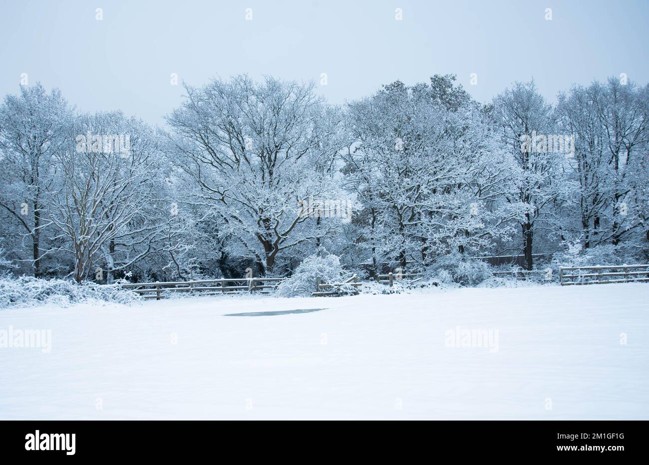 Les conditions météorologiques hivernales dans le Hertfordshire au Royaume-Uni en 2022 sont les plus lourdes chutes en une décennie Banque D'Images