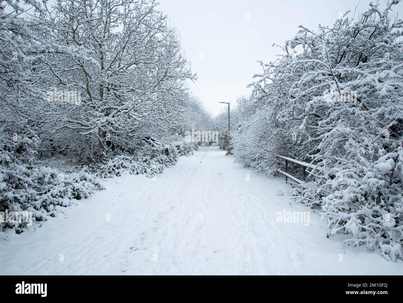Les conditions météorologiques hivernales dans le Hertfordshire au Royaume-Uni en 2022 sont les plus lourdes chutes en une décennie Banque D'Images
