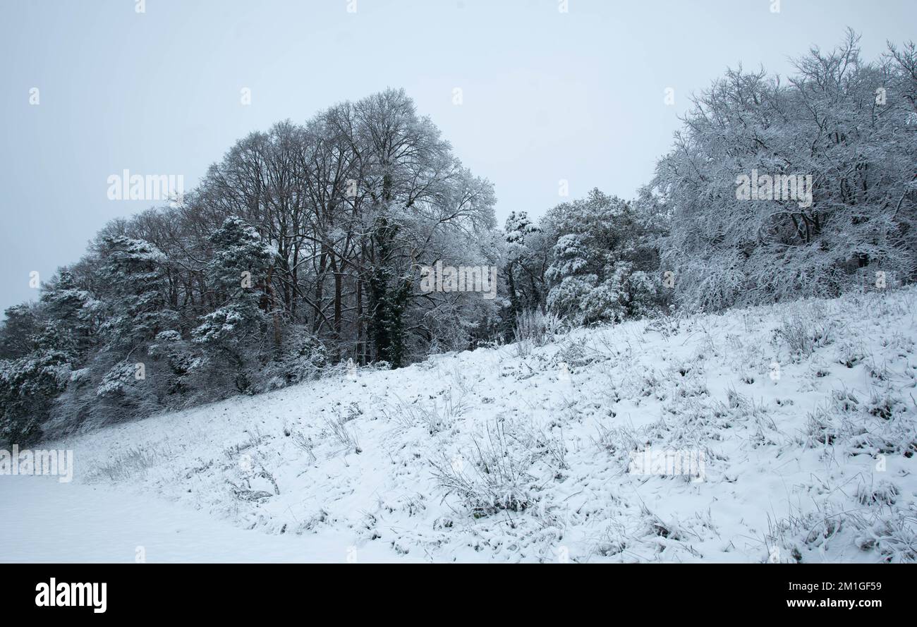 Les conditions météorologiques hivernales dans le Hertfordshire au Royaume-Uni en 2022 sont les plus lourdes chutes en une décennie Banque D'Images