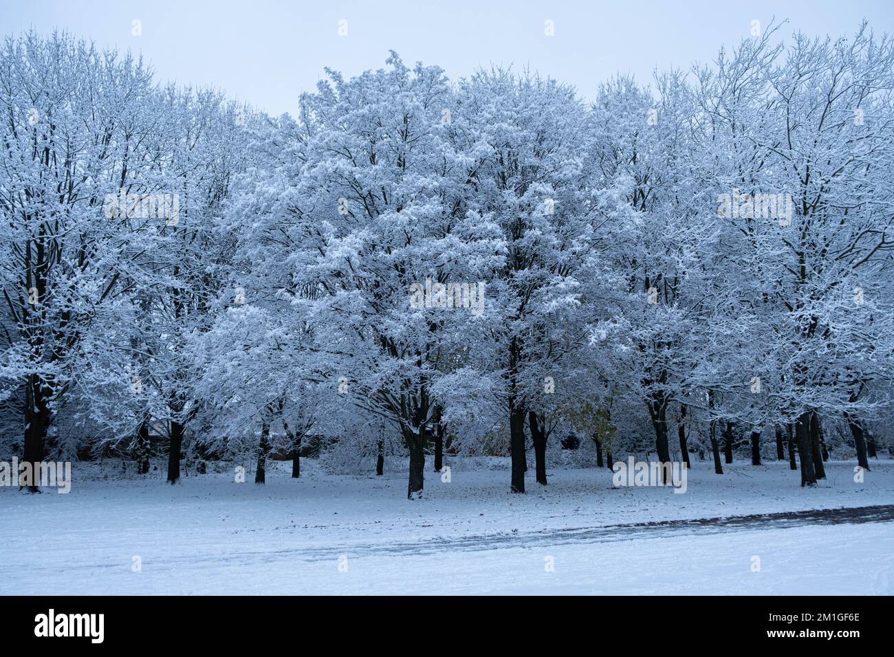 Les conditions météorologiques hivernales dans le Hertfordshire au Royaume-Uni en 2022 sont les plus lourdes chutes en une décennie Banque D'Images