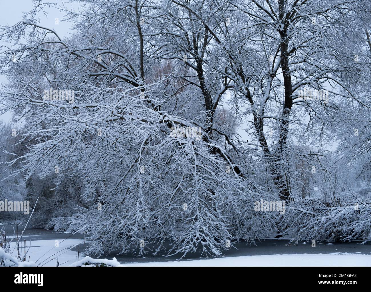 Les conditions météorologiques hivernales dans le Hertfordshire au Royaume-Uni en 2022 sont les plus lourdes chutes en une décennie Banque D'Images