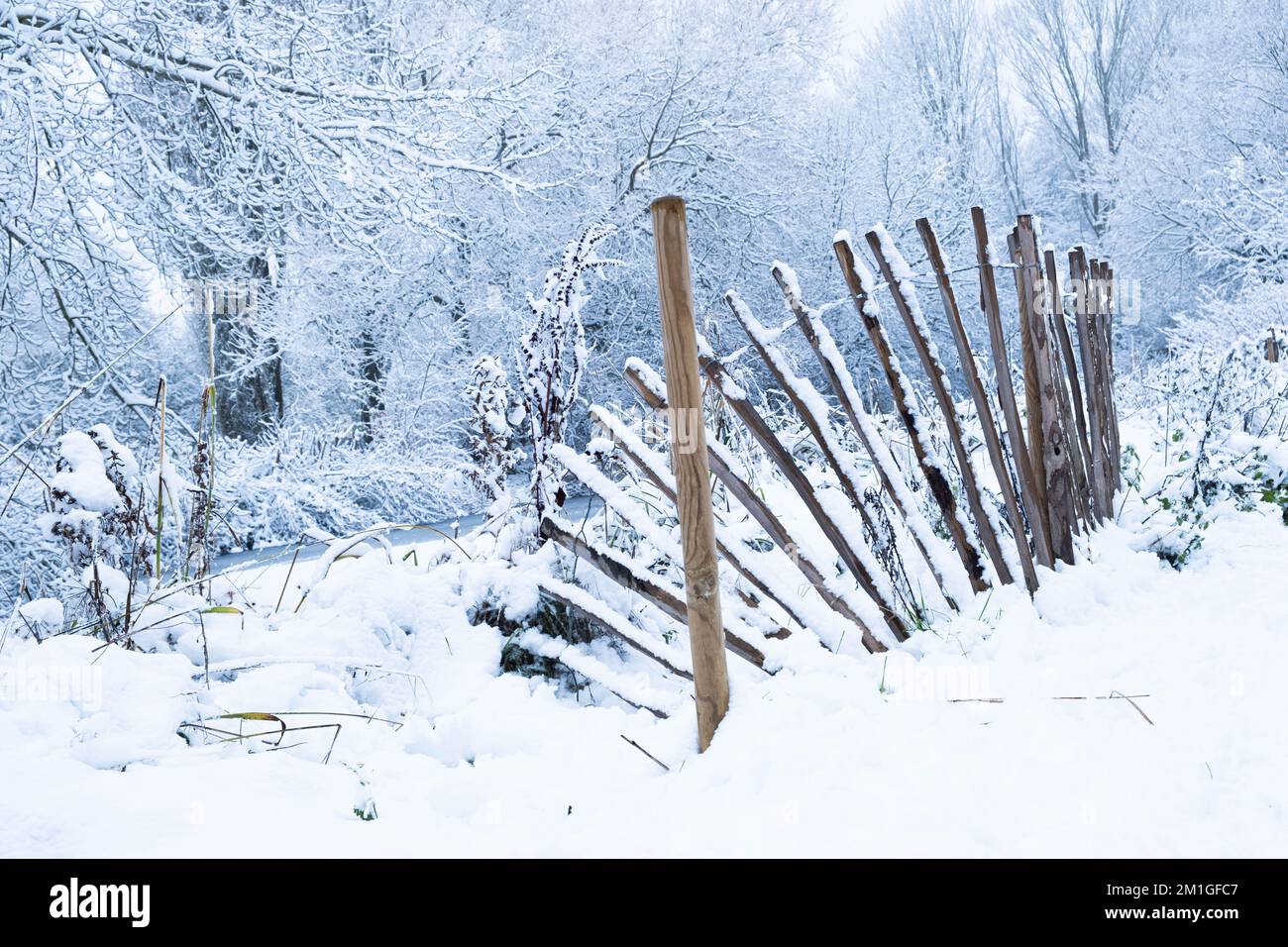 Les conditions météorologiques hivernales dans le Hertfordshire au Royaume-Uni en 2022 sont les plus lourdes chutes en une décennie Banque D'Images