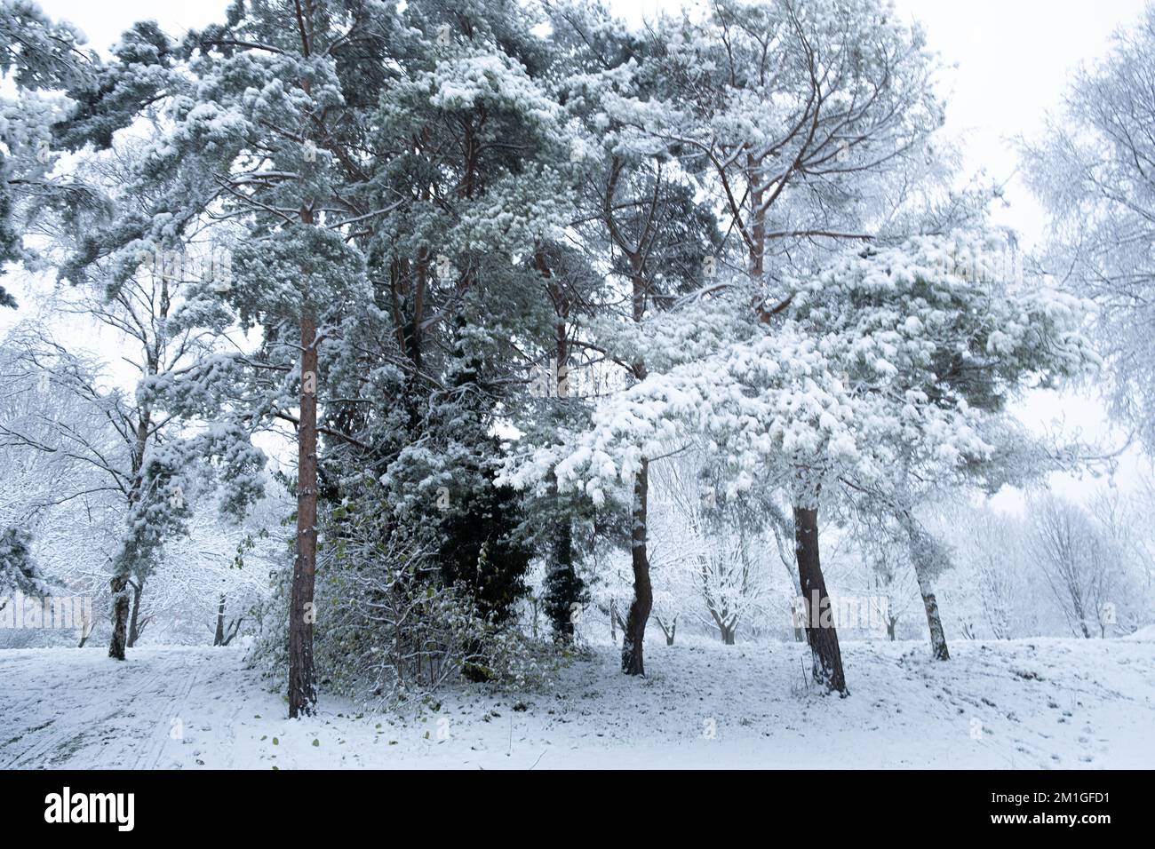 Les conditions météorologiques hivernales dans le Hertfordshire au Royaume-Uni en 2022 sont les plus lourdes chutes en une décennie Banque D'Images