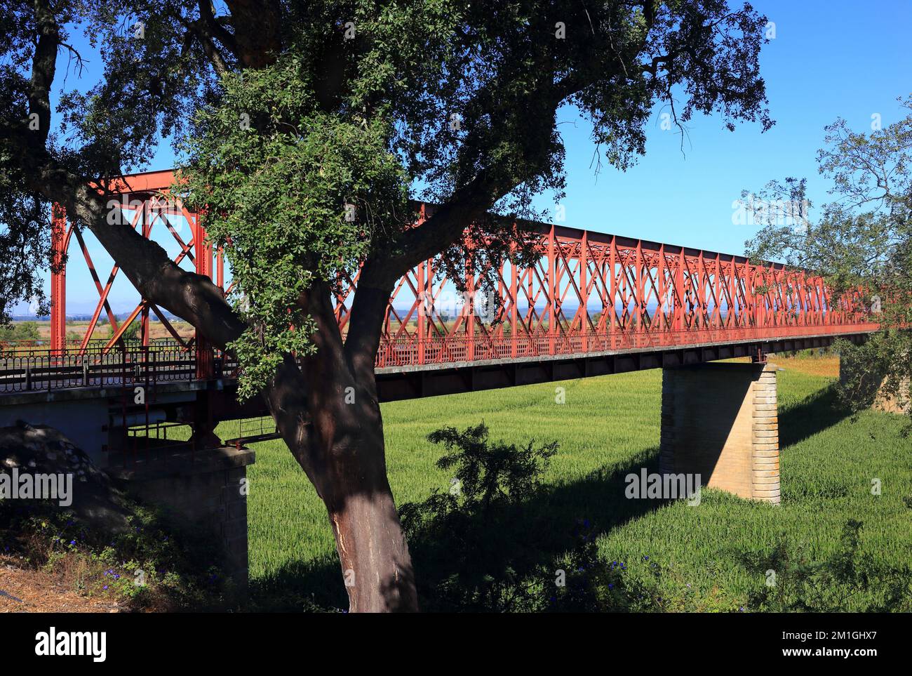 Le pont routier João Joaquim Isidro dos Reis, connu sous le nom de pont de Chamusca. Un point de repère construit en 1909 sur le Tage - Rio Tejo reliant Golega et Banque D'Images