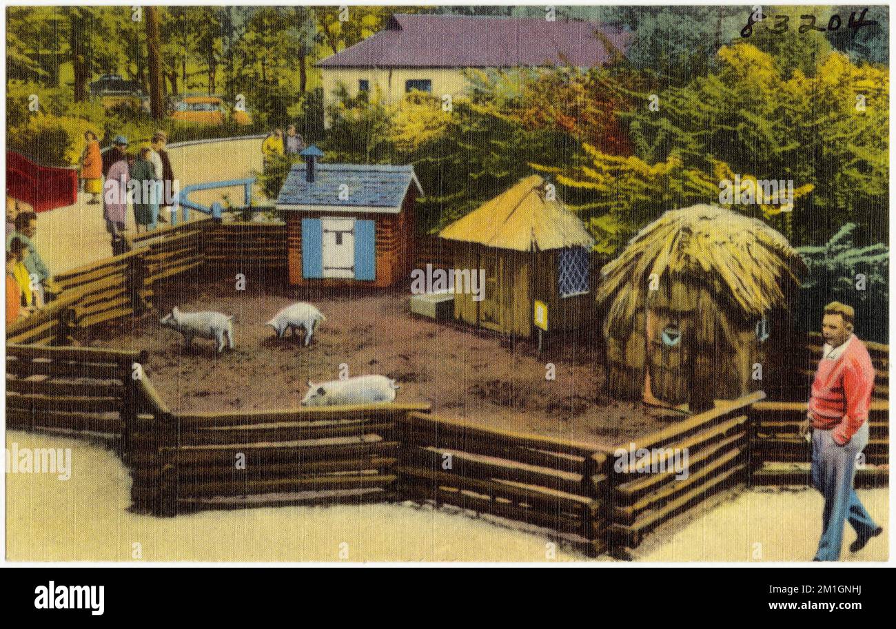 The Three Little Pigs at the Children's Zoo, Belle Isle -- Detroit, Michigan, installations sportives et récréatives, Tichnor Brothers Collection, cartes postales des États-Unis Banque D'Images