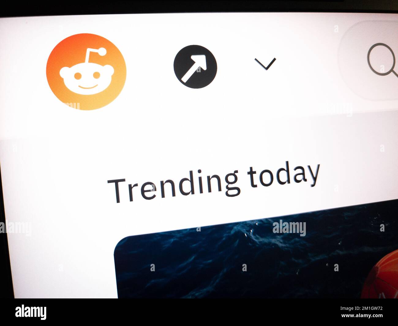 KONSKIE, POLOGNE - 12 décembre 2022: Site web de Reddit affiché sur l'écran de l'ordinateur portable Banque D'Images