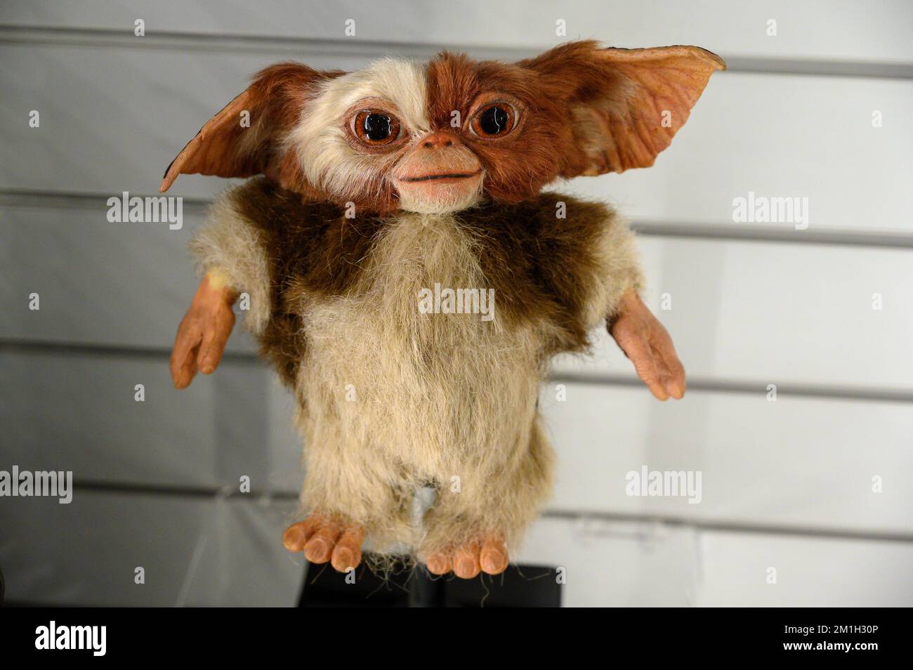 Gizmo Mogwai prop du film Gremlins Banque D'Images
