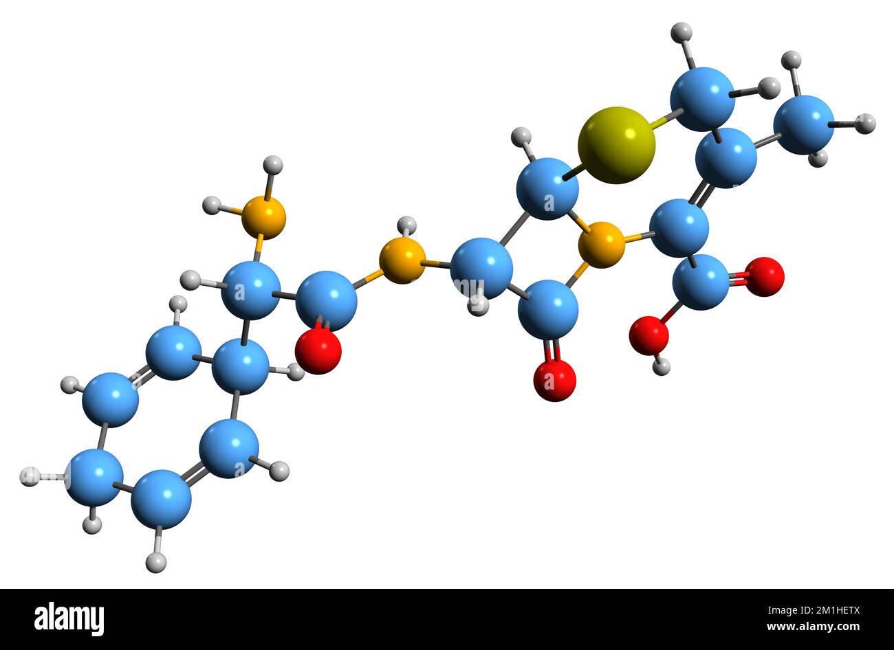 3D image de la formule squelettique de Cefradine - structure chimique moléculaire de l'antibiotique de céphalosporine isolé sur fond blanc Banque D'Images