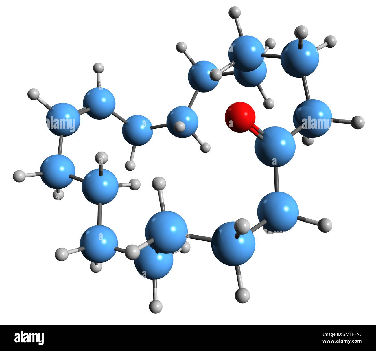 3D image de la formule squelettique de Civetone - structure chimique moléculaire de Cycloheptadeca-9-en-1-one isolée sur fond blanc Banque D'Images