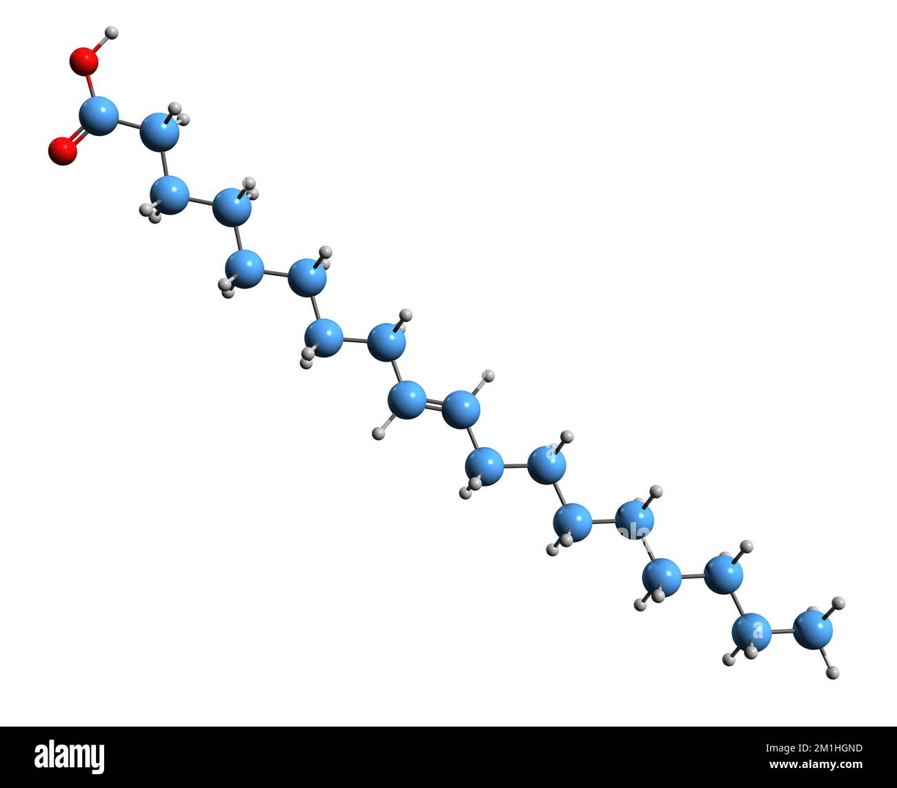 3D image de la formule squelettique de l'acide adique - structure chimique moléculaire de l'acide gras oméga-9 isolé sur fond blanc Banque D'Images