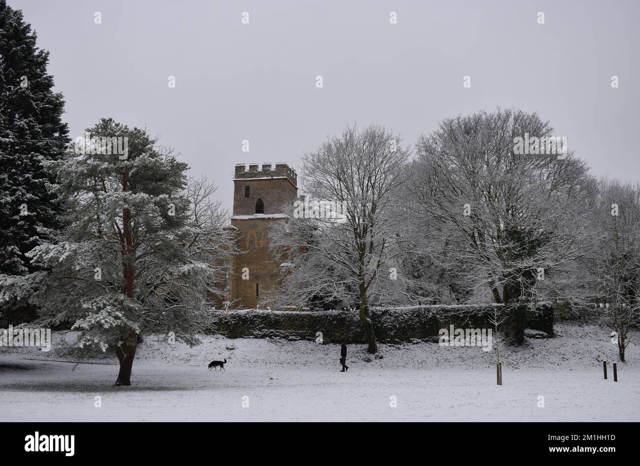Arbres enneigés dans le parc Great Linford Manor à Milton Keynes en décembre 2020. Banque D'Images