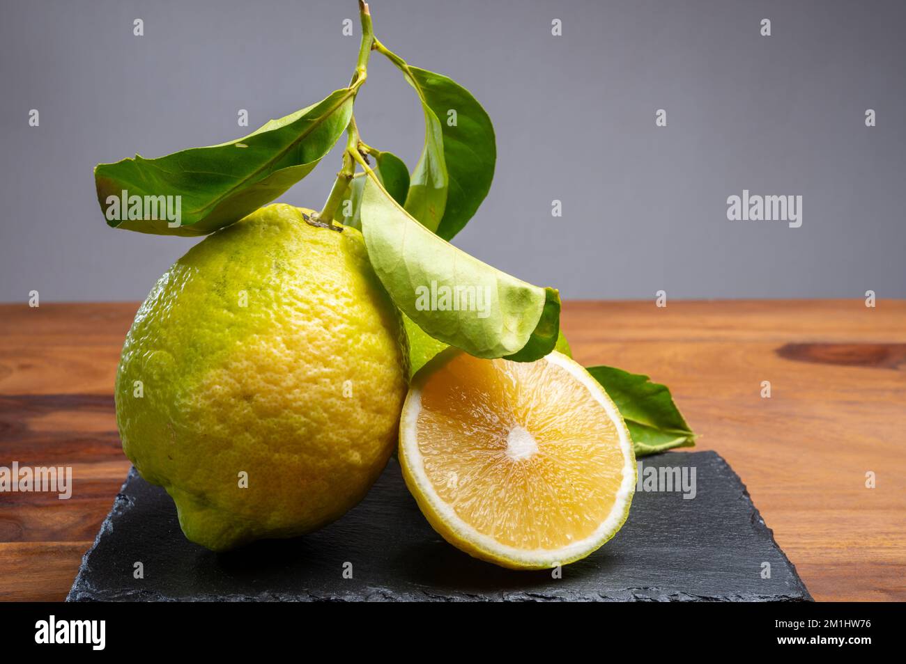 Cédrate de citron-citron ou Citrus medica, grands agrumes parfumés avec de la croûte épaisse utilisés pour faire de la limonchello italienne Banque D'Images