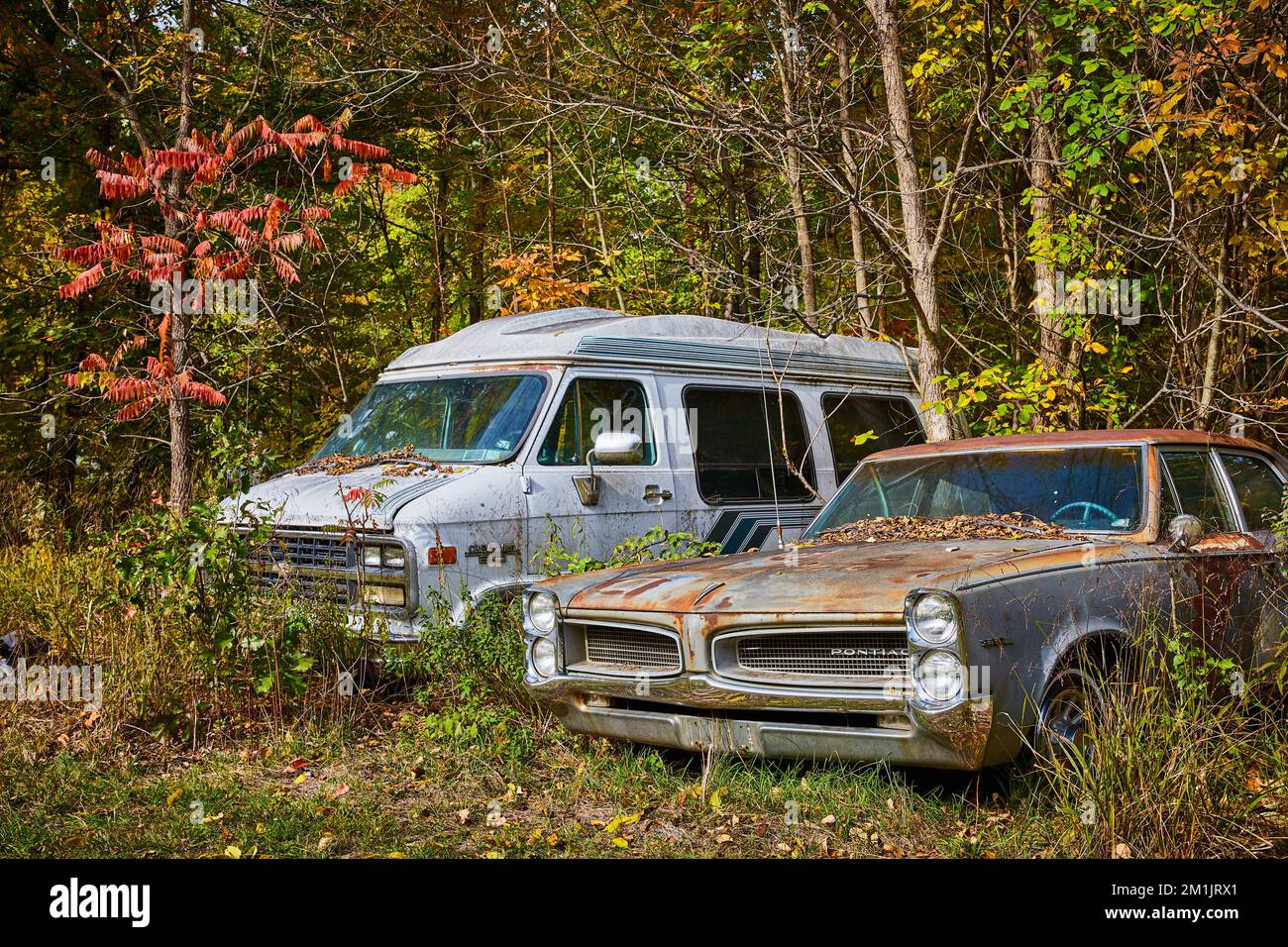 Une fourgonnette rouillée et une voiture en décomposition dans une forêt muette recouverte de feuilles d'automne Banque D'Images