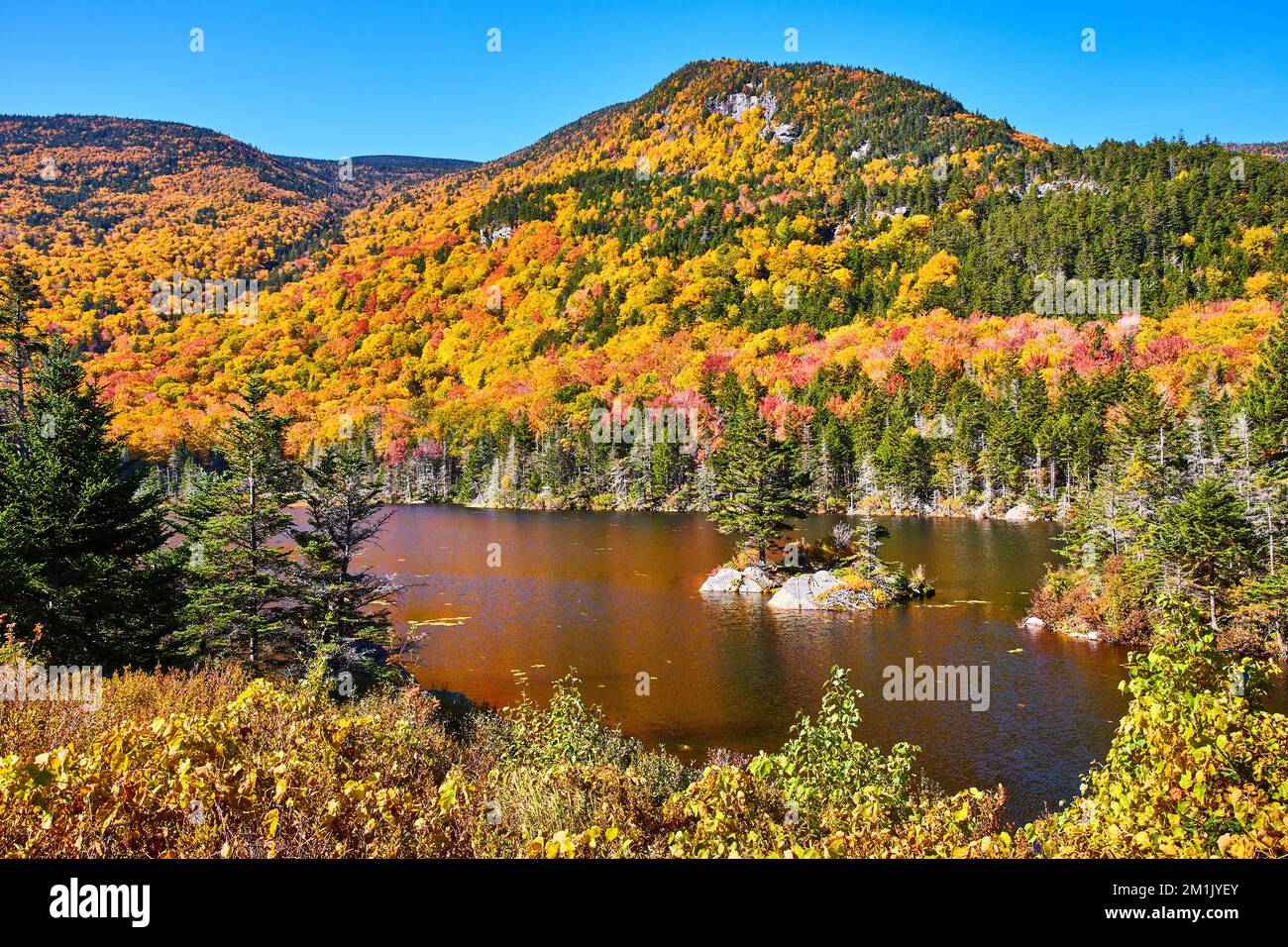 Belles collines d'automne du New Hampshire par lac avec petite île rocheuse et un pin solitaire Banque D'Images