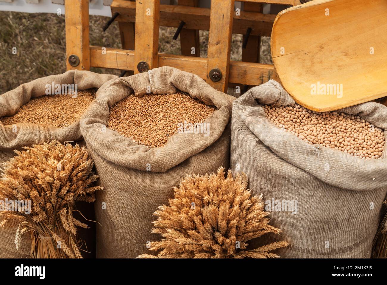 Divers grains dans les produits de la ferme de Sacks en vrac Banque D'Images
