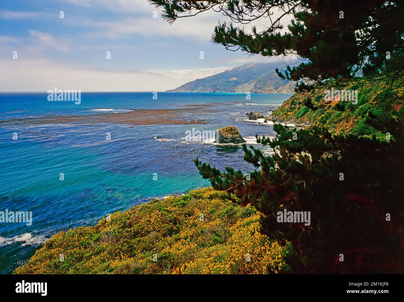 Big sur , Californie Banque D'Images