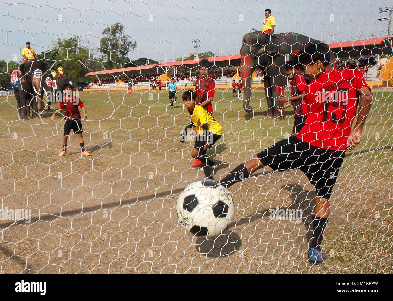 Ayutthaya, Thaïlande. 13th décembre 2022. Des étudiants thaïlandais jouent au football avec des éléphants à l'école Ayutthaya Wittayalai, dans la province d'Ayutthaya, au nord de Bangkok. Le match a eu lieu dans le cadre d'une campagne visant à promouvoir la coupe du monde de 2022 et aussi à décourager le jeu pendant la compétition. Crédit : SOPA Images Limited/Alamy Live News Banque D'Images