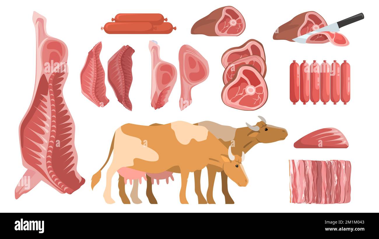 Ensemble de vecteurs de viande de bœuf frais Illustration de Vecteur