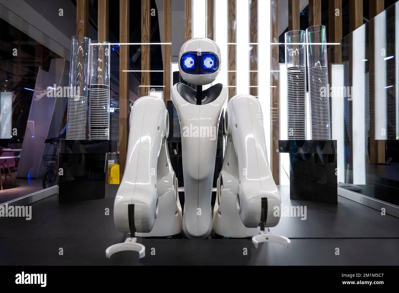 Robot restaurant in tokyo Banque de photographies et d'images à haute  résolution - Alamy