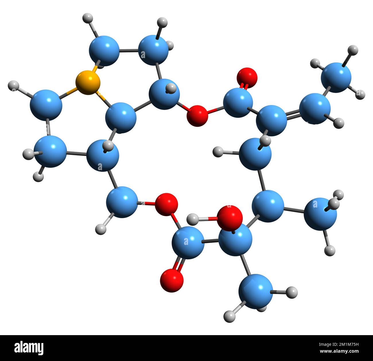 3D image de la formule squelettique de Platyphylline - structure chimique moléculaire de l'alcaloïde Platiphylline isolée sur fond blanc Banque D'Images