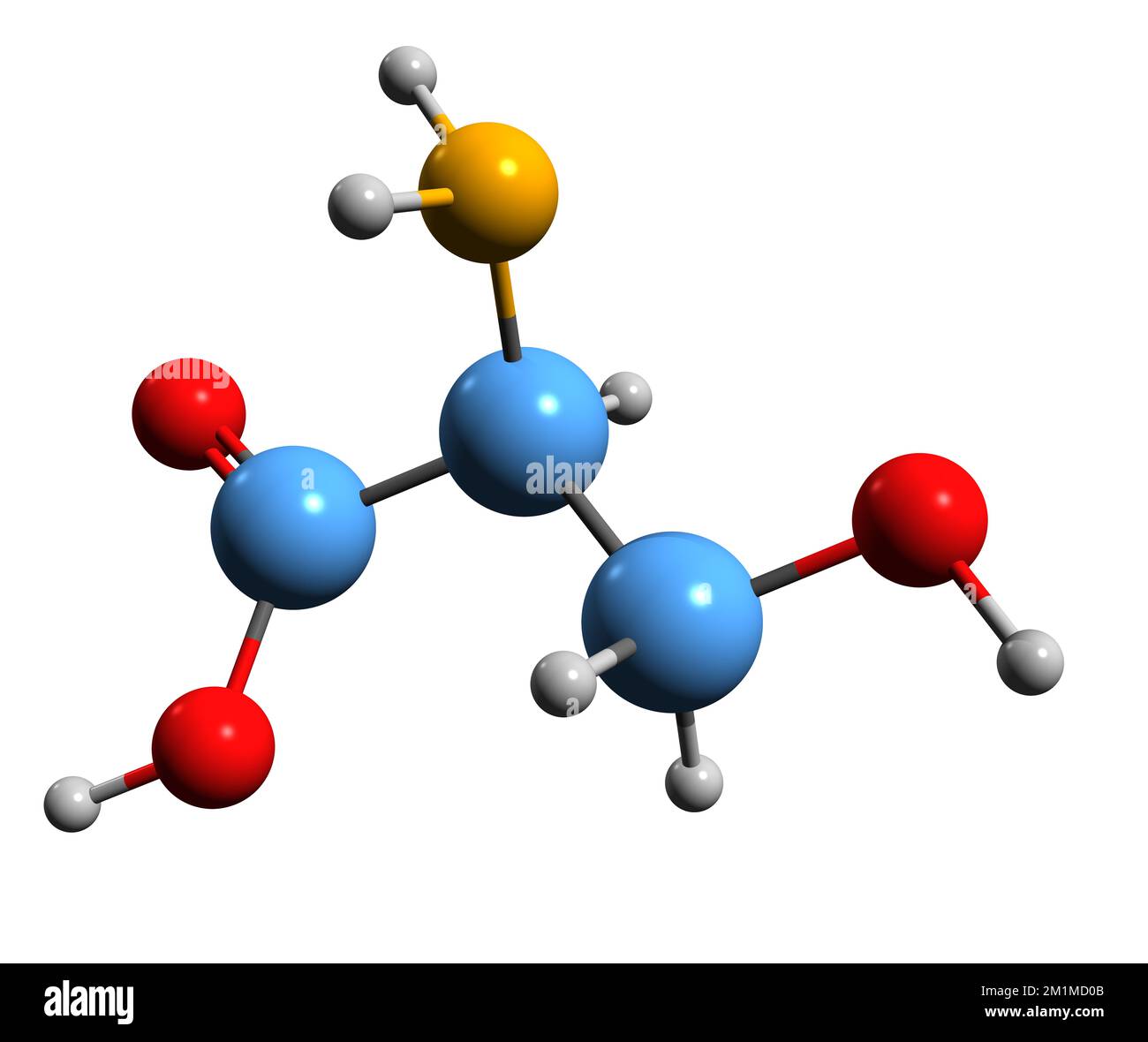 3D image de la formule osseuse sérine - structure chimique moléculaire des acides aminés isolés sur fond blanc Banque D'Images