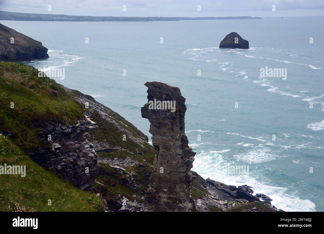 Slate Rock Pinnacle 'part' de la carrière Old Lanterdan & Gull Island près de Tintagel sur le South West Coastal Path, Cornwall, Angleterre, Royaume-Uni. Banque D'Images