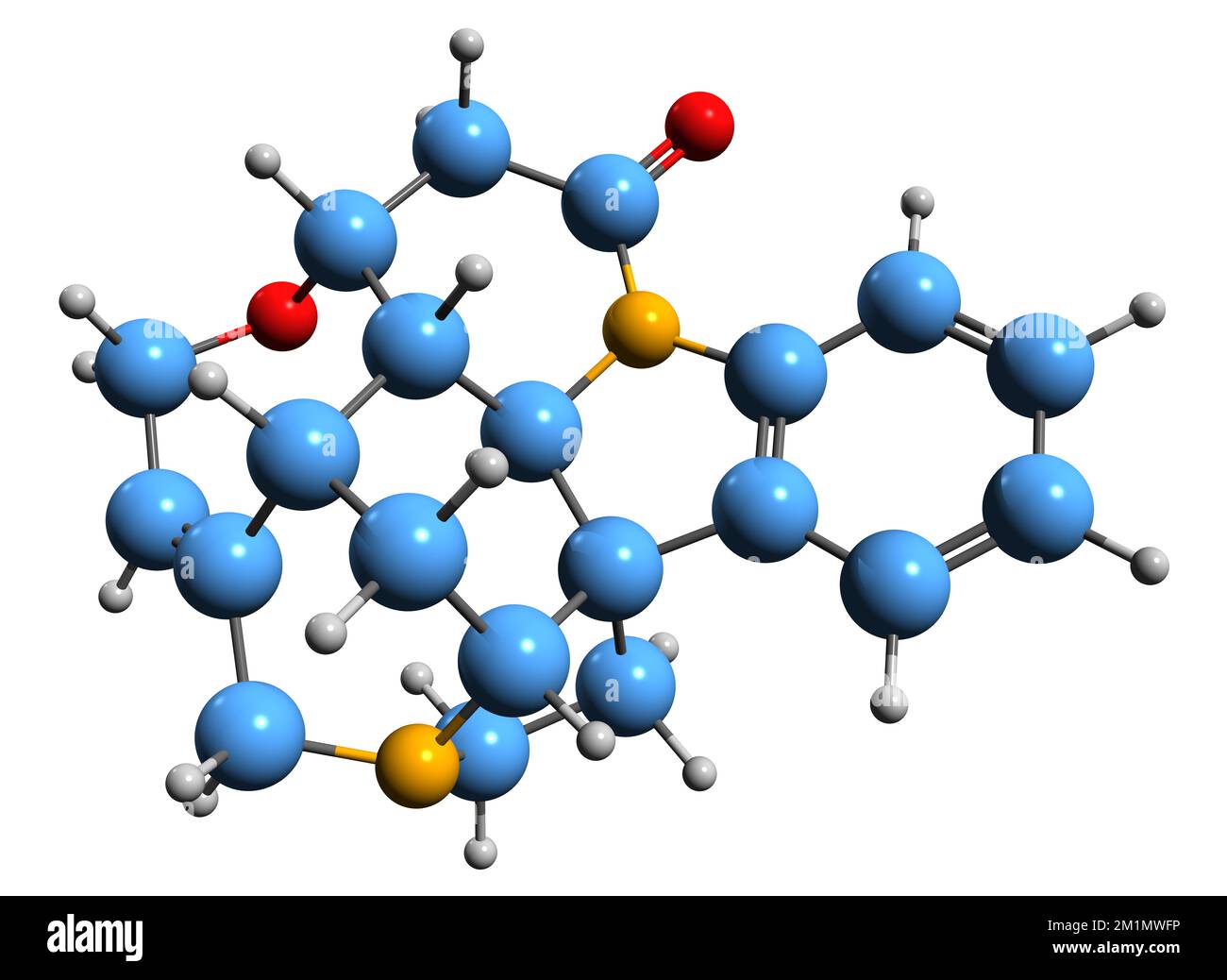 3D image de la formule squelettique de Strychnine - structure chimique moléculaire de l'alcaloïde hautement toxique isolé sur fond blanc Banque D'Images