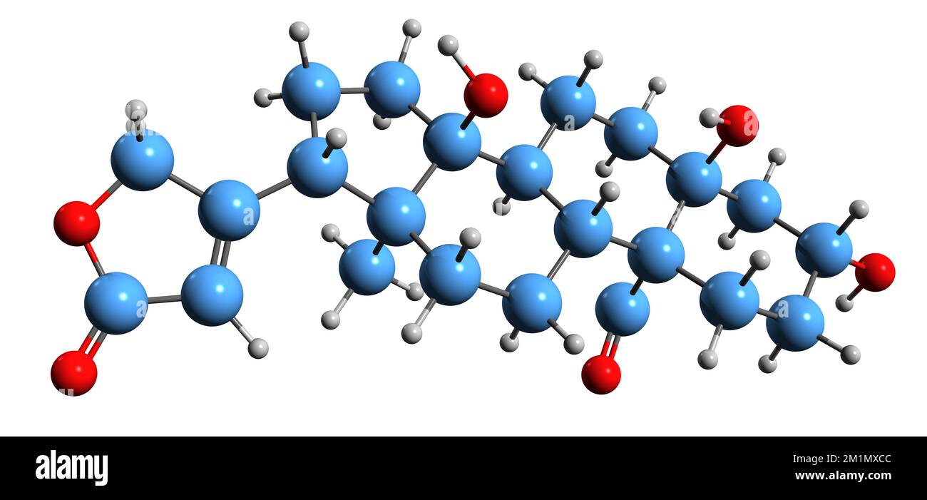 3D image de la formule squelettique de la strophanthidine - structure chimique moléculaire du cardenolide isolé sur fond blanc Banque D'Images