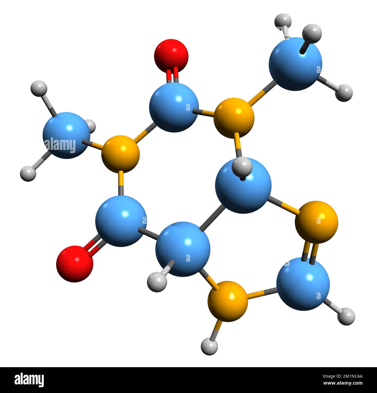 3D image de la formule squelettique de la théophylline - structure chimique moléculaire de la diméthylxanthine isolée sur fond blanc Banque D'Images