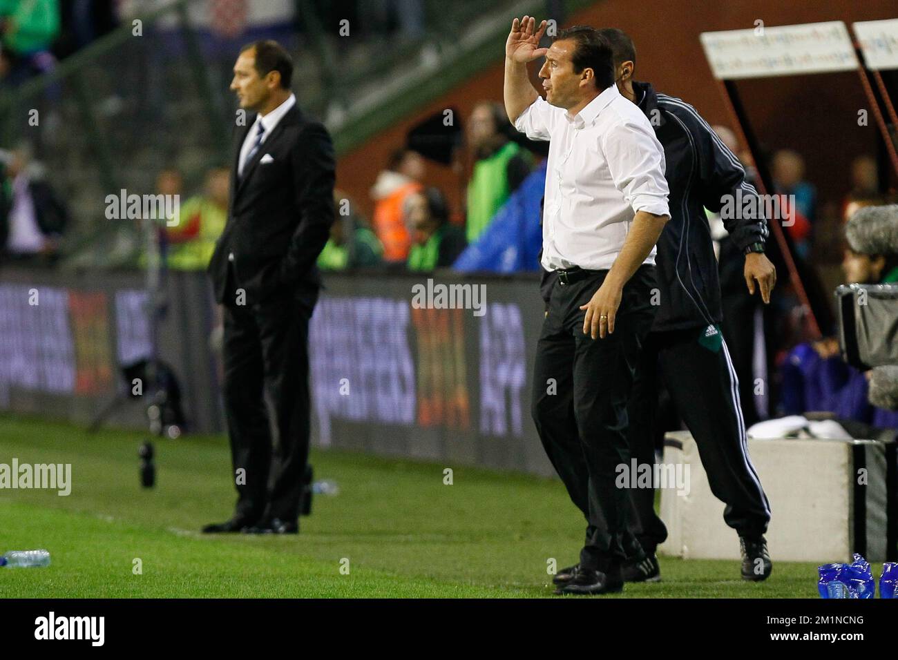 20120911 - BRUXELLES, BELGIQUE : l'entraîneur-chef belge Marc Wilmots réagit lors du match de qualification entre les Red Devils belges et la Croatie, le mardi 11 septembre 2012 au stade du Roi Baudouin, à Bruxelles. Il s'agit du deuxième des dix matchs de qualification pour les Championnats du monde de football 2014. BELGA PHOTO BRUNO FAHY Banque D'Images