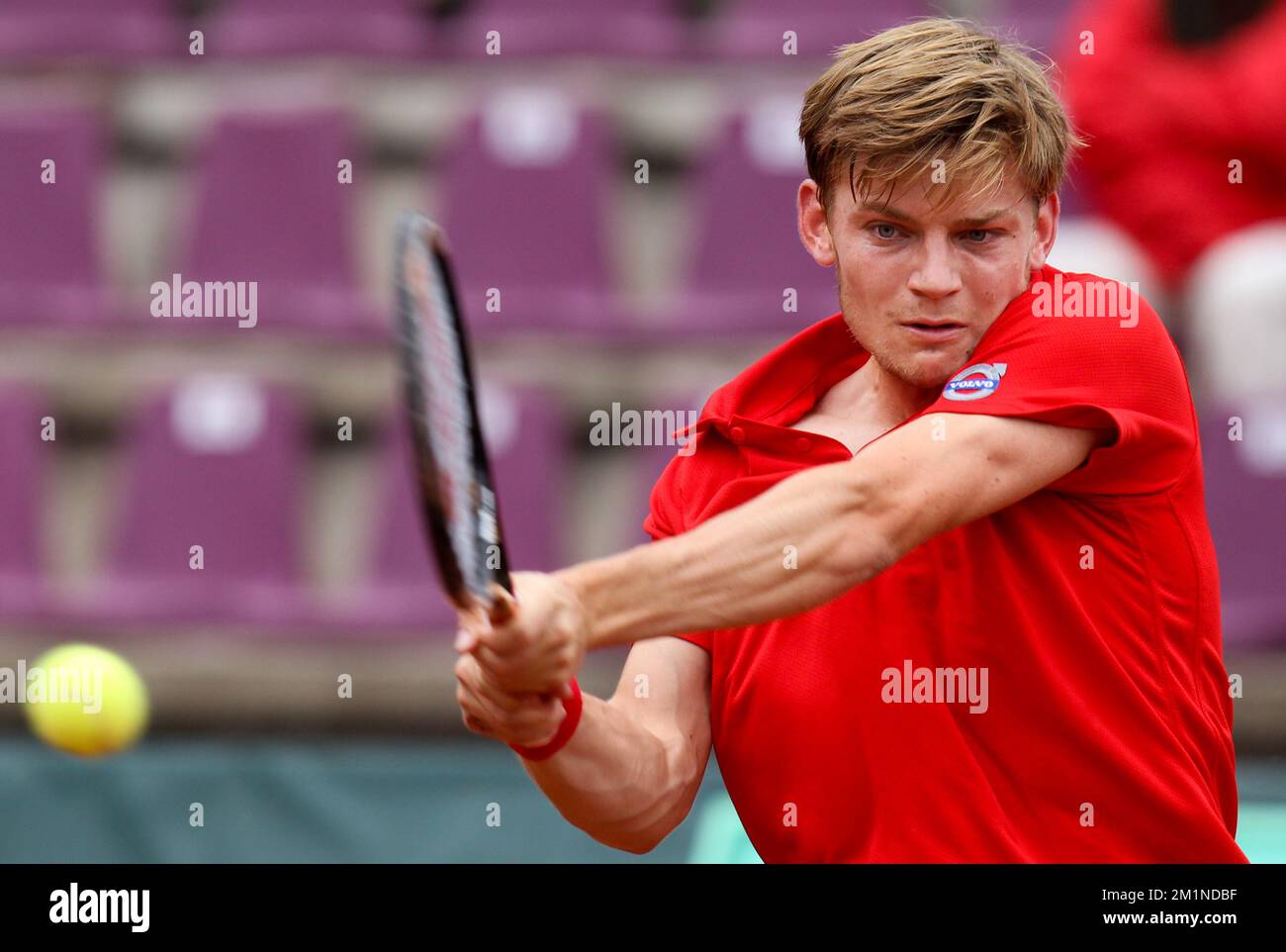 20120914 - BRUXELLES, BELGIQUE: David Goffin belge en action pendant le deuxième match de la coupe Davis entre la Belgique et la Suède, pour le Groupe mondial au Royal Primerose tennis Club à Bruxelles, le vendredi 14 septembre 2012. David Goffin belge (ATP 56) et Andreas Vinciguerra suédois jouent le deuxième des cinq matchs. BELGA PHOTO VIRGINIE LEFOUR Banque D'Images